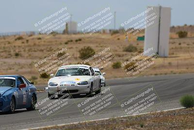 media/May-03-2025-Lucky Dog Racing (Sat) [[206de64b9d]]/Turn 6 (150pm-230pm)/